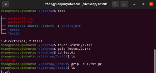 Linux操作系統初探 從計算機基礎到入門實踐